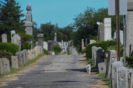 Ohel Chabad Lubavitch Burial Site Rebbe Editorial Stock Photo - Stock ...