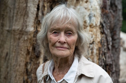 Virginia Mckenna Virginia Mckenna 89 Will Editorial Stock Photo - Stock ...