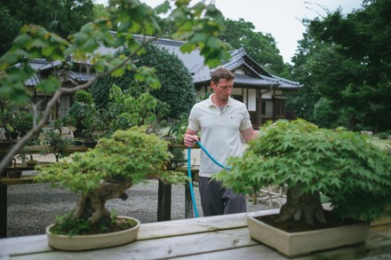 Tree House Bonsai: Bonsai Garden in Japan