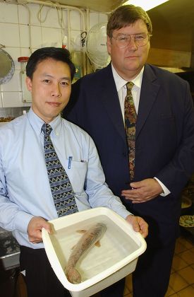 Evening Standard Food Critic Charles Campion (left) With Manager David Lam Of The Fung Shing Restaurant Who Has Offered Him A Koi Carp For Dinner Which Will Be Cooked In Ginger And Spring Onion.