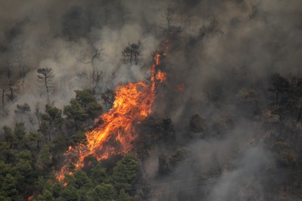 Greece Kechries Wildfire - 23 Jul 2020 Stock Pictures, Editorial Images ...