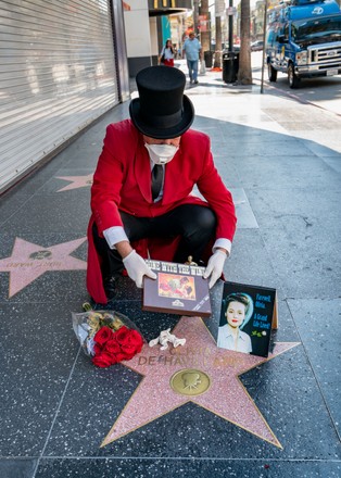 Hollywood remembers Olivia de Havilland, Los Angeles, USA - 26 Jul 2020