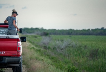 Python Contractor Amy Siewe Prepares Lights Editorial Stock Photo ...