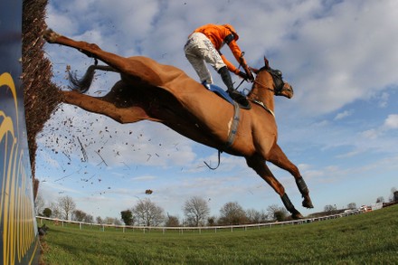 Horse Racing, Huntingdon Racecourse, Cambridgeshire, UK - 27 Jan 2012
