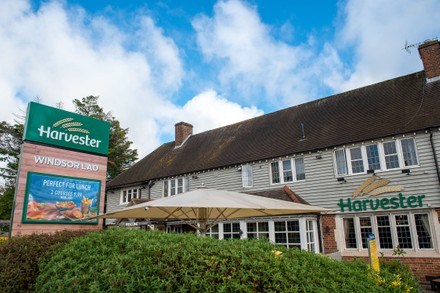 Harvester Windsor Lad Restaurant Following Successful Editorial Stock