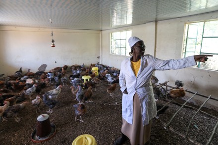 Beatrice Maina School Manager Mwea Brethren Editorial Stock Photo