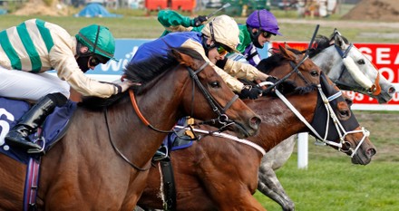 Horse Racing - 16 Sep 2020