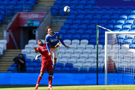 4,000 Cardiff city v reading Stock Pictures, Editorial Images and