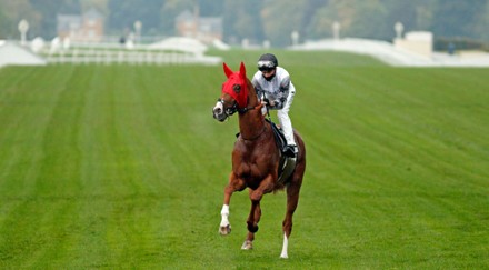 Horse Racing - 02 Oct 2020