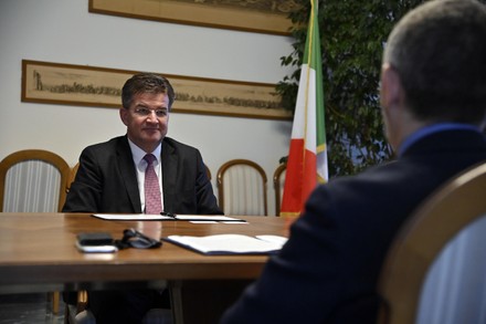 Video conference with the under-secretary Sereni, Rome, Italy - 19 Oct 2020