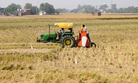 Farmers Sow Wheat Seeds His Field Editorial Stock Photo - Stock Image ...