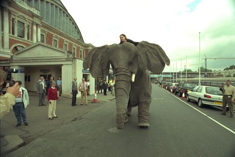 The Jumbo Fine Art............... All Pictures Show The Delicate Operation To Get A Full Sized Mechanical Elephant Into The Olympia Hall In West London In Time For The Fine Art And Antiques Fair Opening Today June 4. Pictures Shows The Scene As The E