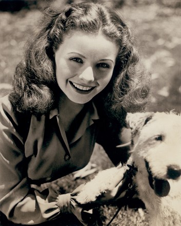 Actress Jeanne Crain 19252003 Head Shoulders Editorial Stock Photo ...