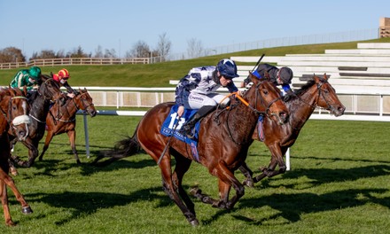 Curragh Racing, Curragh Racecourse, Co. Kildare - 06 Nov 2020 Stock ...