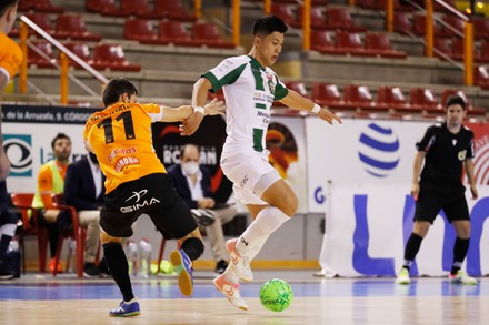 Futsal : 2020-2021 Liga Nacional de Futbol Sala : Cordoba Patrimonio 2-3 Ribera Navarra FS, Cordoba, Spain - 11 Nov 2020