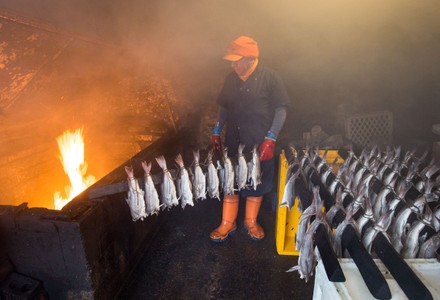Scottish haddock in Arbroath Smokies, United Kingdom - 11 Nov 2020