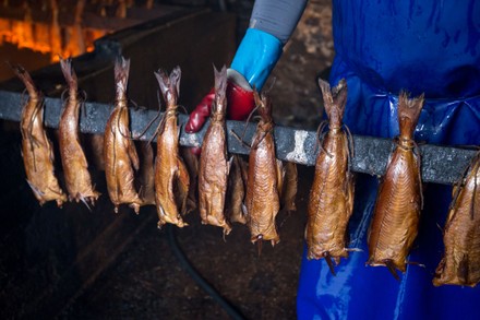 Scottish haddock in Arbroath Smokies, United Kingdom - 11 Nov 2020
