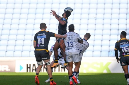 Wasps Lock Levi Douglas 19 During Editorial Stock Photo - Stock Image ...