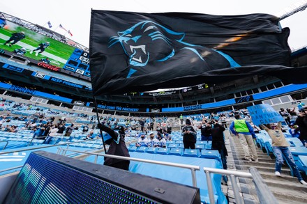 November 22, 2020: Detroit Lions defensive tackle John Penisini (91) chases  Carolina Panthers quarterback P.J. Walker (