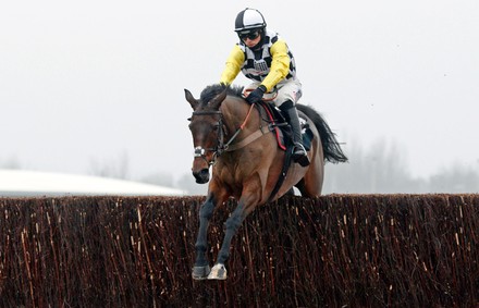 Horse Racing from Newbury Racecourse, UK - 28 Nov 2020