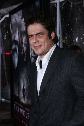 Benicio Del Toro Editorial Stock Photo - Stock Image | Shutterstock