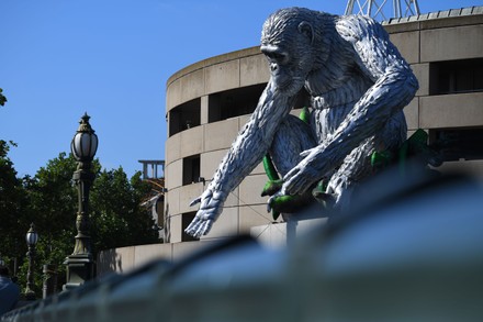 Sculpture of chimpanzee David Greybeard, Melbourne, Australia - 03 Dec 2020