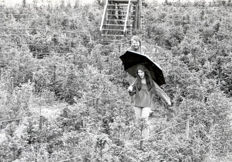 7th Marquis Of Bath - 6th June 1978 Lord Weymouth And Wife Actress Anna Gael At Longsleat In The New Maze....