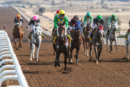 JEBEL ALI DUBAI UAE Editorial Stock Photo - Stock Image | Shutterstock