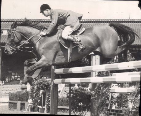 David Broome - 1959 David Broome On Wildfire Iii. They Won The London Trial Stakes On The First Day. Show Jumping-equestrian