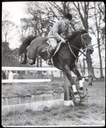 David Broome - 1960 David Broome Riding 'wildfire Iii' Clear The Pole Jump. ...show Jumping-equestrian