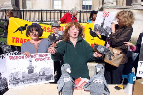 Pigeon Protector Susan Fletcher Pictured With Protesters At Trafalgar Square In London After The Council Decided To Make It Illegal To Feed The Pigeons In The Area.