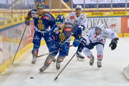 Écharpe Supporteur Hockey Sur Glace Davos Switzerland – Foulard Gris