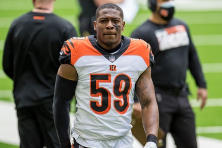 Cincinnati Bengals Lb Akeem Davisgaither 59 Editorial Stock Photo - Stock  Image