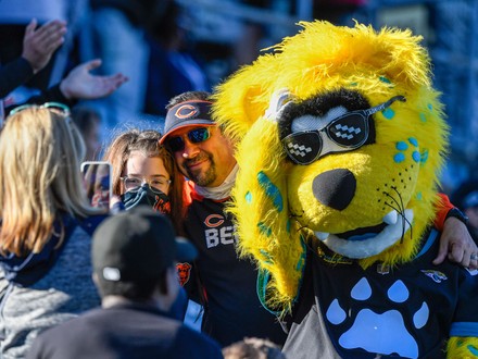 Photo: Chicago Bears versus the Jacksonville Jaguars at TIAA Bank