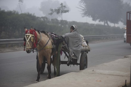 Dense Fog Engulfs Delhi-NCR; Visibility Drops, New Delhi, India - 30 Dec 2020