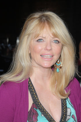 Cheryl Tiegs Editorial Stock Photo - Stock Image | Shutterstock