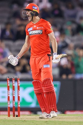 Beau Webster Melbourne Renegades Celebrates After Editorial Stock Photo ...