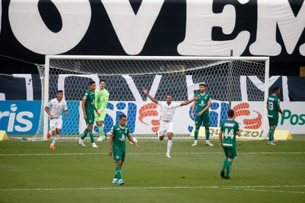 Santos Vs Goias, Campeonato Brasileiro Serie A, Santos, Brazil - 24 Jan ...