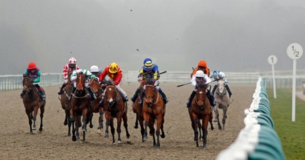 Horse Racing - 27 Jan 2021