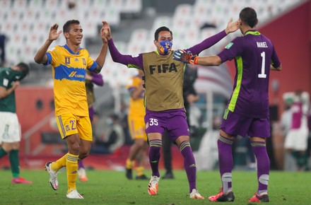 Tigres Uanl Supporter Looks On Before Editorial Stock Photo - Stock