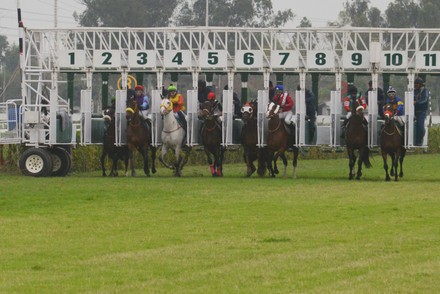 JDW Pakistan annual Derby Horse Race, Lahore, Punjab - 07 Mar 2021 ...