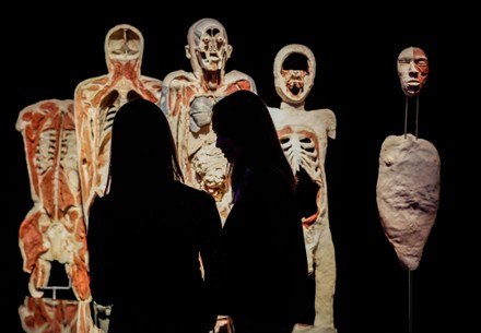 Plastinated Human Bodies On Display During Editorial Stock Photo ...