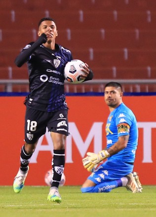 Pedro Vite L Independiente Celebrates After Editorial Stock Photo ...