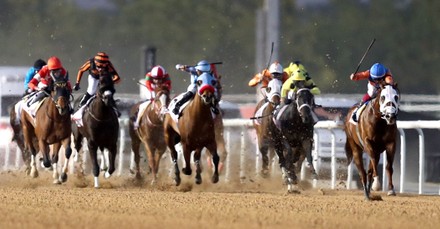 Jockey Antonio Fresu On Zenden Usa Editorial Stock Photo - Stock Image ...