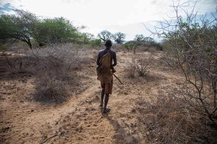 Hadzabe Hunters During Bow Arrow Hunt Editorial Stock Photo - Stock ...