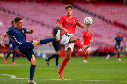 Benfica S Gian Luca Waldschmidt R Action Gil Editorial Stock Photo Stock Image Shutterstock