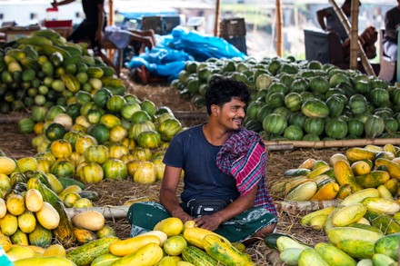 3 Maskmelon Stock Pictures, Editorial Images And Stock Photos 