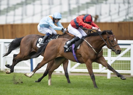 Horse Racing from Ascot Racecourse, UK - 28 Apr 2021