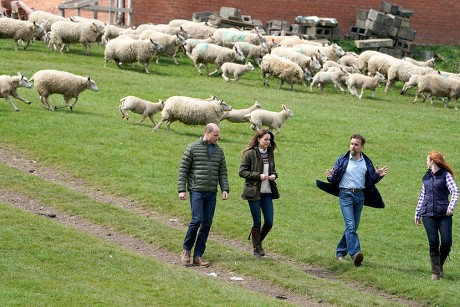 Prince William and Catherine Duchess of Cambridge visit to Manor Farm, Little Stainton, Durham, UK - 27 Apr 2021
