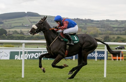 Punchestown Racing Festival, Punchestown Racecourse, Co. Kildare - 30 Apr 2021